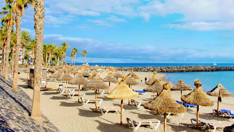 Palm-lined beach with palapas and loungers—relax by calm waters.