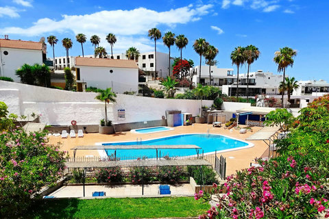 Bright outdoor swimming pool surrounded by a terrace and tropical greenery.