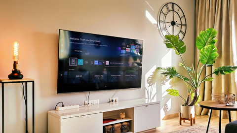 Sunlit lounge with smart TV, chic decor, and lush indoor greenery.