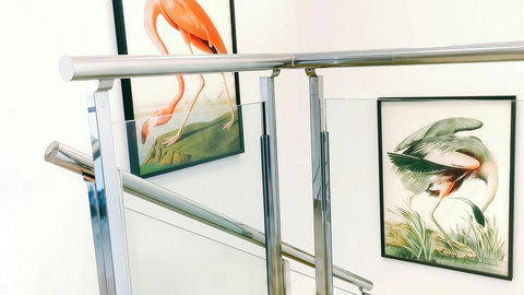 Bright stairwell with sleek glass rails and bold bird artwork