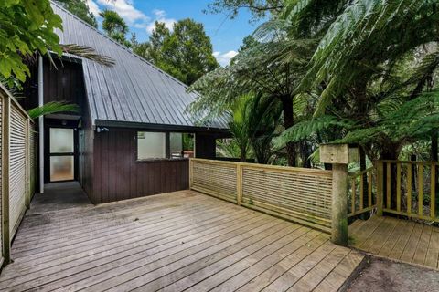 This home is located in a Kauri grove, so there is plenty of birdlife around.