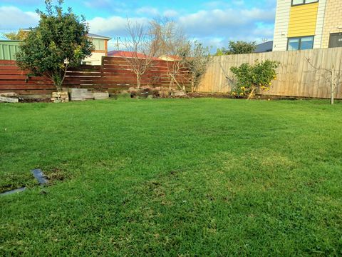 There is a grass backyard for the children to play on.