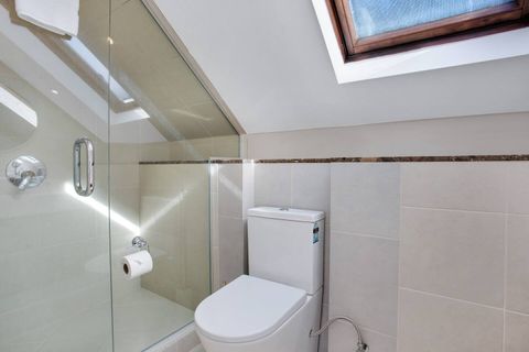 The ensuite bathroom has a shower, toilet and vanity unit.
