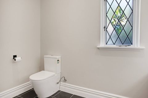 The other separate toilet and vanity.