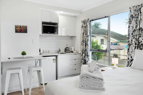 There is plenty of natural light that comes into the studio unit.