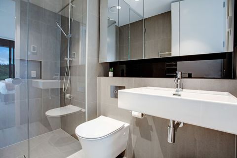 The bathroom has a shower, vanity basin, toilet and a mirror.