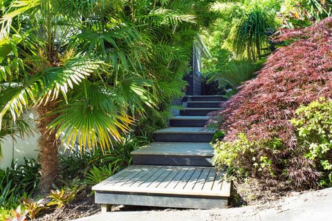 There are a few stairs to climb to the front door but they are a joy with the garden on each side.