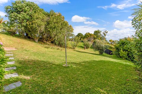 The backyard is a large space that has many uses.