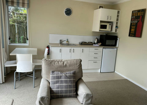 The kitchenette, dining table and living spaces are all in the same area.