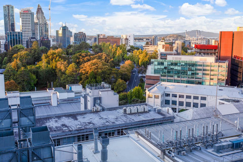 View towards Rangitoto in the distance.
