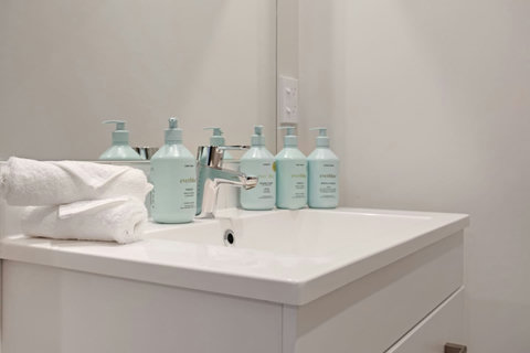 We supply a starter kit of bathroom amenities suitable for 1 night.