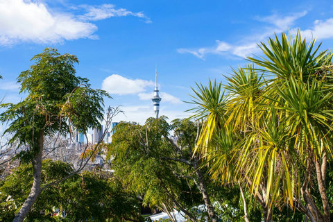 Enjoy the view of the SkyTower from both the ground and upper levels of this home.