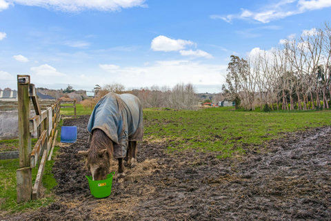 You will see plenty of horses around - please do not enter into the fields.