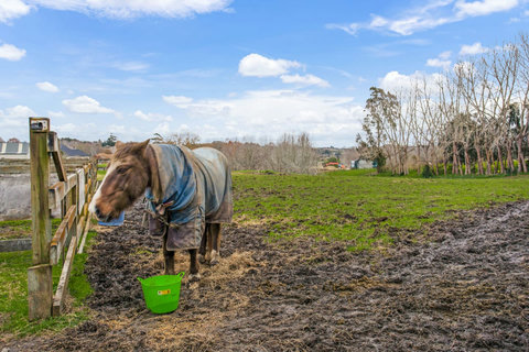 You will see plenty of horses around - please do not enter into the fields.