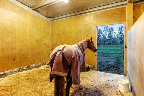 This is a working horse farm, so you can arrange to go on a horse with a qualified horse riding instructor.