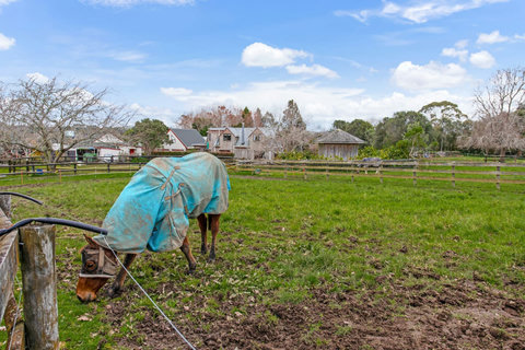 You will see plenty of horses around - please do not enter into the fields.