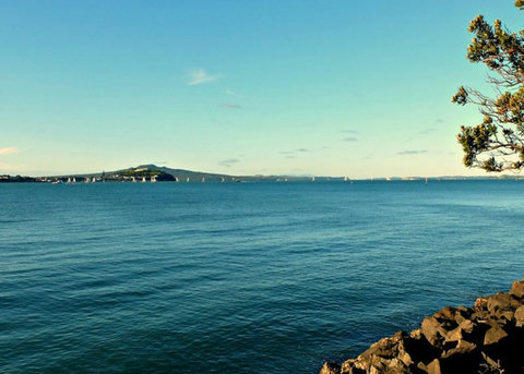 Photo of Okahu Bay which is your closest beach.