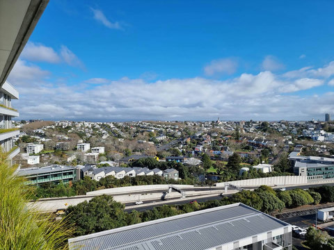 Looking Westwards shows more of Freemans Bay and the Ponsonby Ridge. You can see the history of NZ Domestic Architecture in Ponsonby, Freemans Bay, and Grey Lynn.