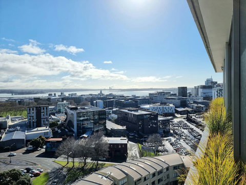 The inner harbour on a glorious sunny Auckland day.