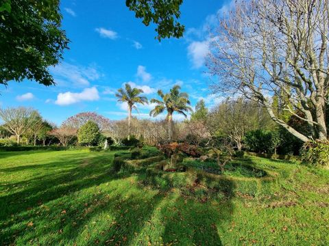 The backyard is a lovely green vista.