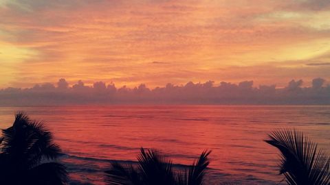 Actual sunset from The kitchen window in November ! 