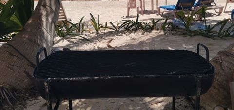 LArge grill for fish and meats!