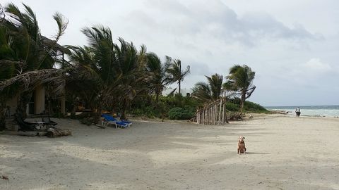 beach isnt always this big and clean, natures choice.. 