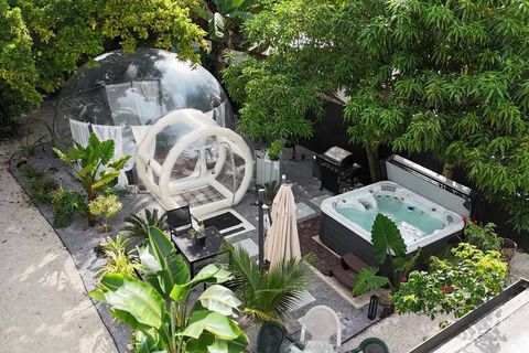 Tropical Oasis Morning