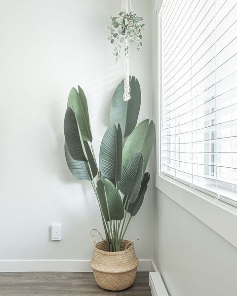 Your home away from home private, cozy modern suite in Hope BC