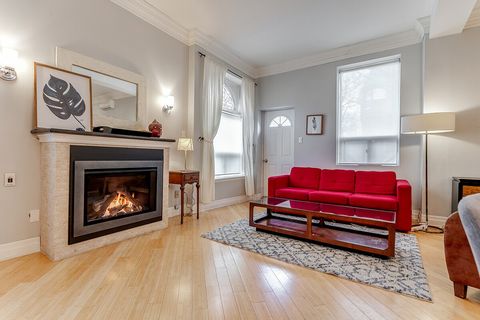Gas fireplace, sofa bed.