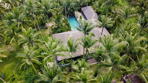 Jungle living but in full comfort. 
