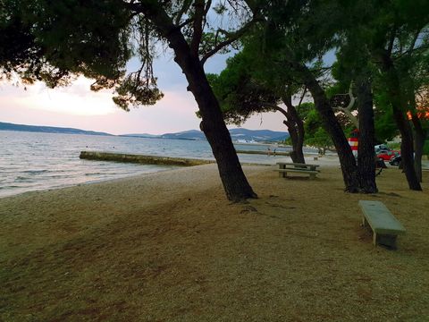 Natural shade with pine trees