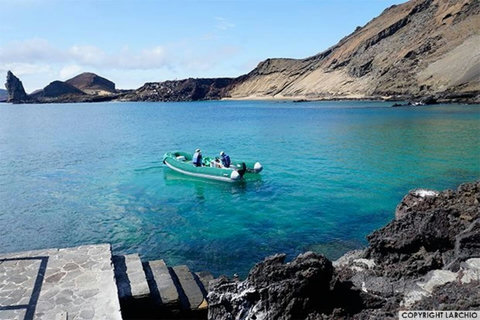 Beachfront Paradise: Immerse yourself in sun-kissed sands and vibrant waters just steps away!