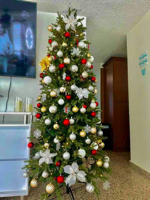 Living Room: Festive charm with a dazzling Christmas tree, perfect for joyous holiday gatherings!