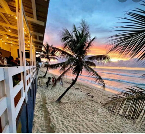 Ocean View Dining: Enjoy breathtaking sunsets and beach vibes right from your table!