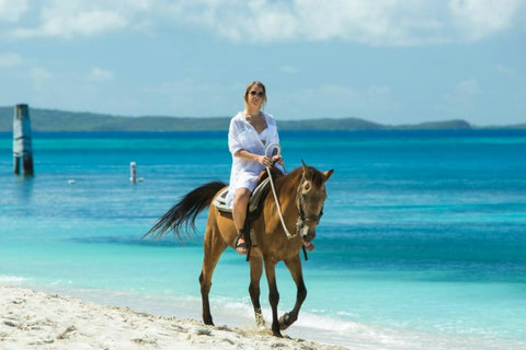 Beachside Adventure: Explore pristine shores on horseback with breathtaking ocean views!