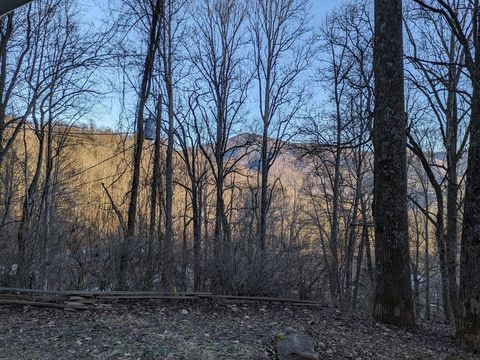 Winter view from the porch 