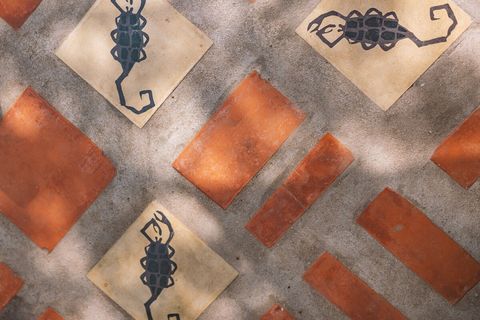 Oaxacan Art legend  Francisco Toledo's tile design. Google him if you are heading to Oaxaca