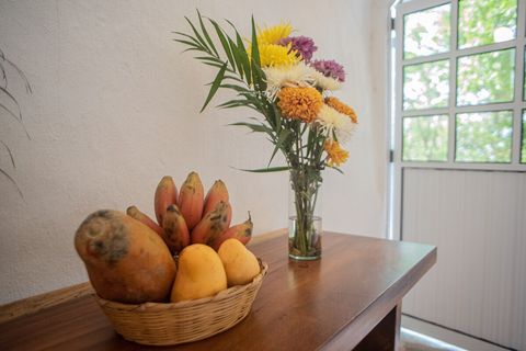 We almost always have a bowl of fruit and fresh flowers in the room. But not gonna lie, sometimes we forget. And if you are late to check in we eat the fruit and put the flowers in the compost pile