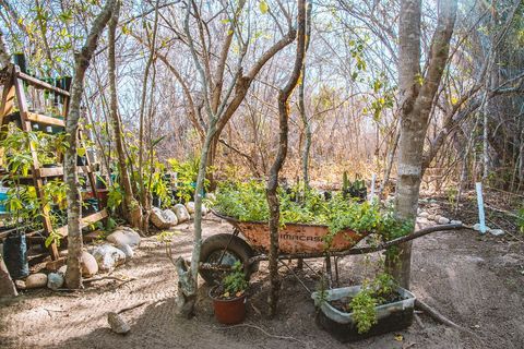 Sometimes a tool just gets retired right on the spot and we grow mint in it. #MoijtosMoProblems  