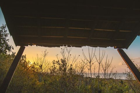 Enjoy a sunrise beach view while making an organic contribution to our compost. We recycle all waste from kitchen and the human body. Our dry composting toilets waste no water while completing nature's cycle returning all nutrients to the garden.
