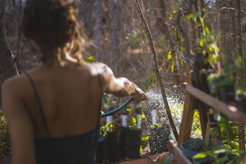 All our water comes from one of two wells on the property and pumped using solar energy. This same water is filtered for drinking.