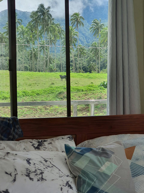 Bedroom view