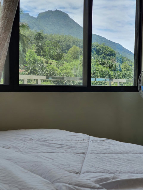 Bedroom view