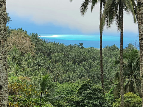 Front view from house  of White Island