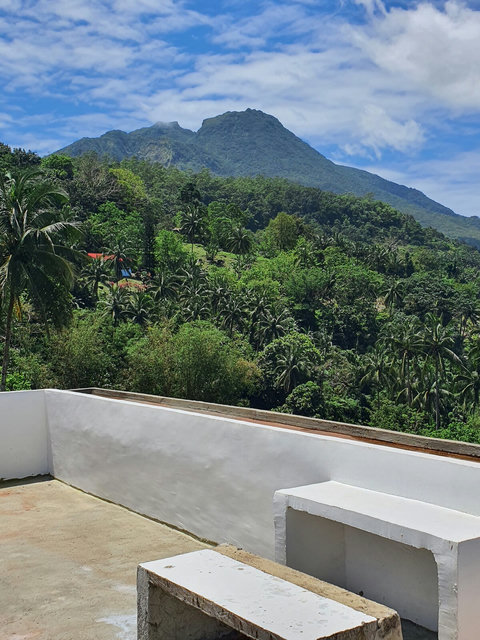 Rooftop view