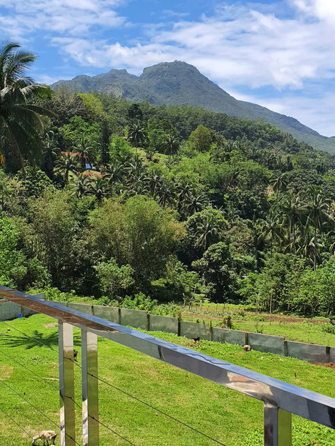 Verandah view