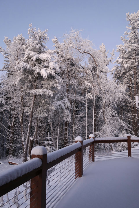Winter time with snow