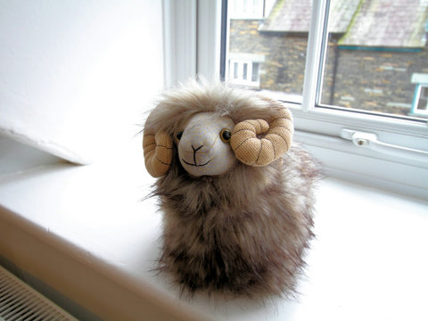 Our own 'Herdy' sheep who likes the view from the green bedroom!