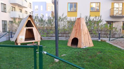 Kids Playing Area in Backyard Common Garden.
